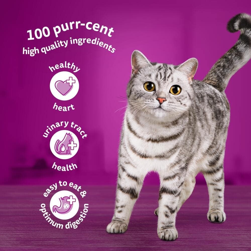 11+ Fish Selection in Jelly Pouches, Senior Cat Food, (1X12 X 85 G)