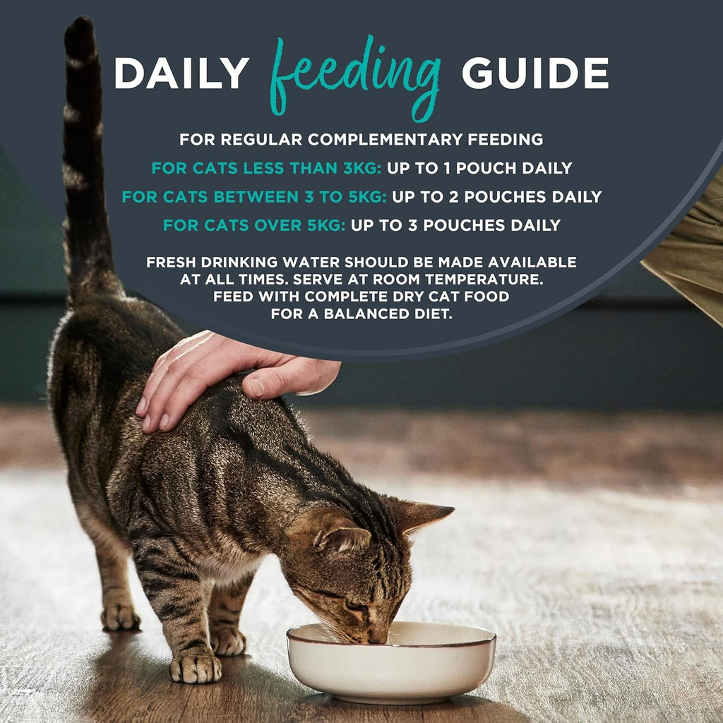 100% Natural Wet Cat Food, Multipack Chicken in Jelly, 5 X 50 G Pouches