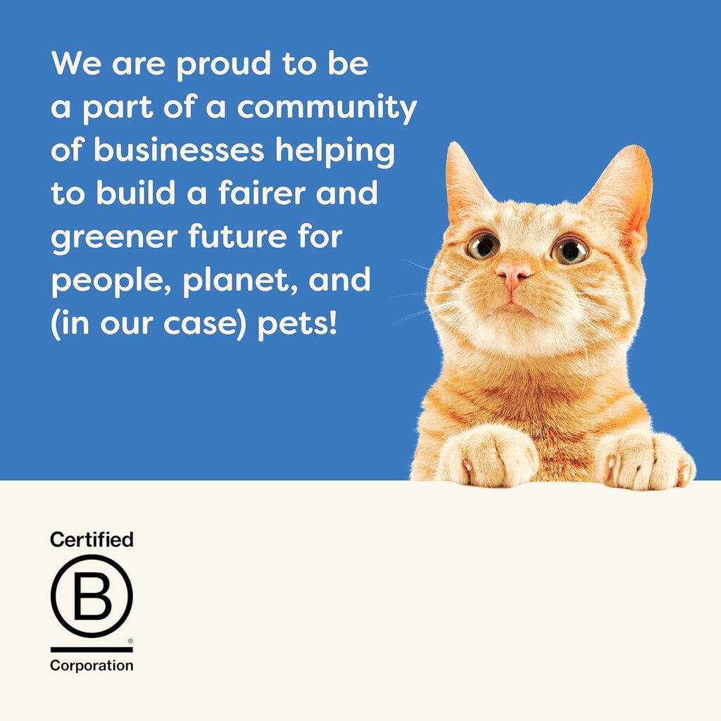 100% Natural Wet Cat Food, Pouch Multipack Tuna Selection in Broth, 70 G (12 X 7