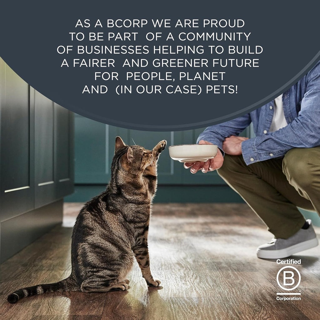 100% Natural Wet Cat Food, Multipack Chicken in Jelly, 5 X 50 G Pouches