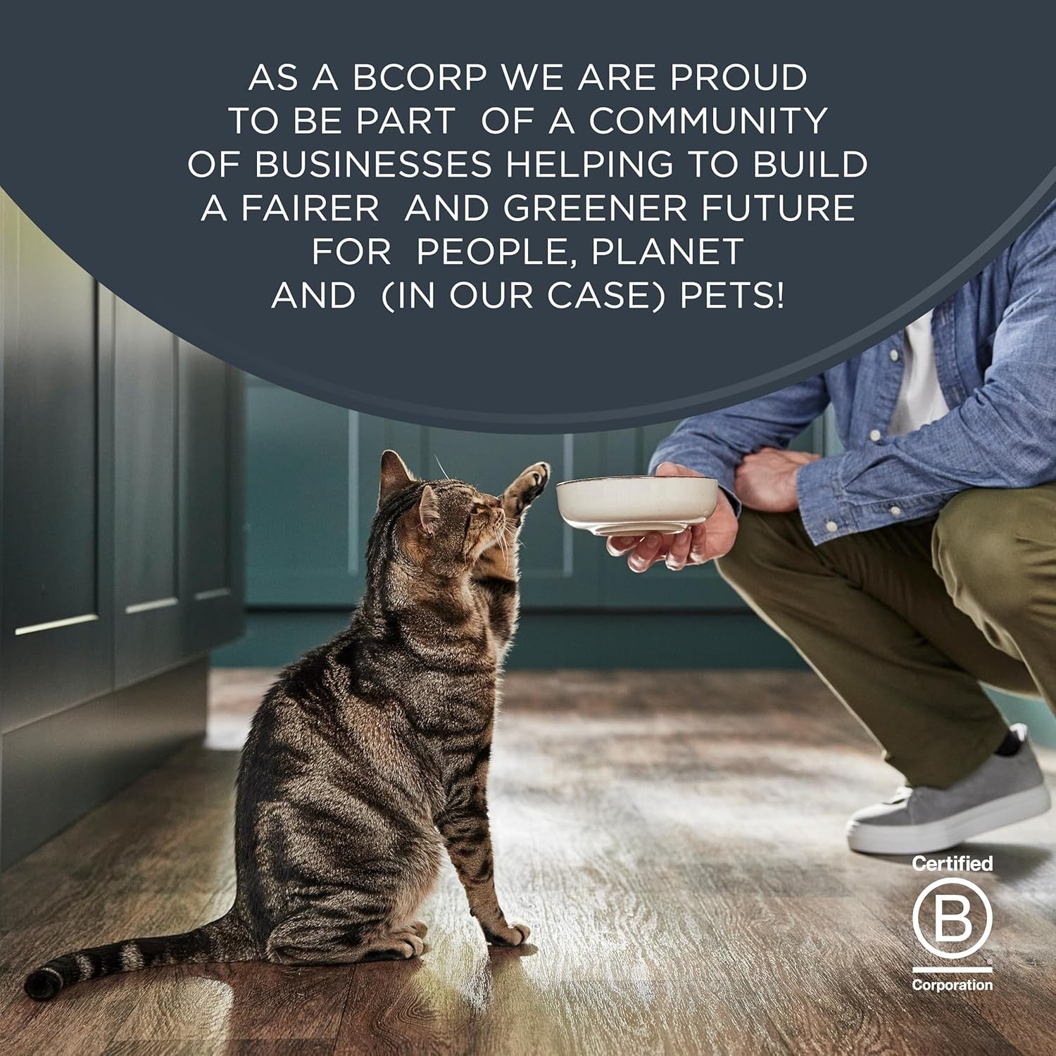 100% Natural Wet Cat Food, Multipack Chicken in Jelly, 5 X 50 G Pouches