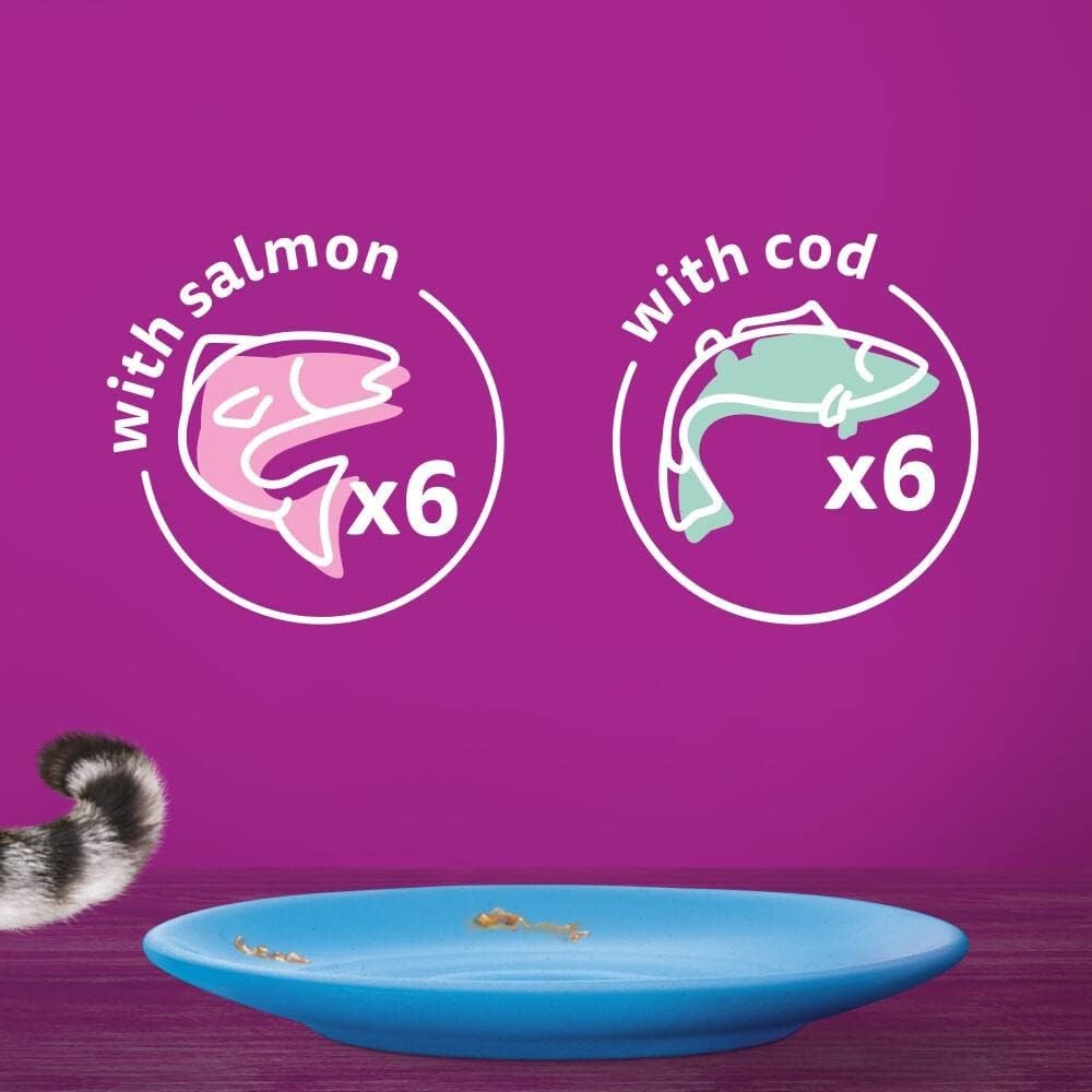 11+ Fish Selection in Jelly Pouches, Senior Cat Food, (1X12 X 85 G)